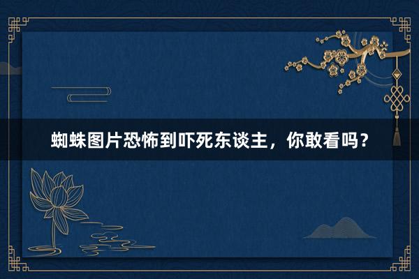 蜘蛛图片恐怖到吓死东谈主，你敢看吗？
